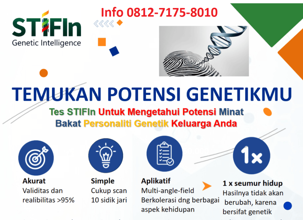 cek stifin