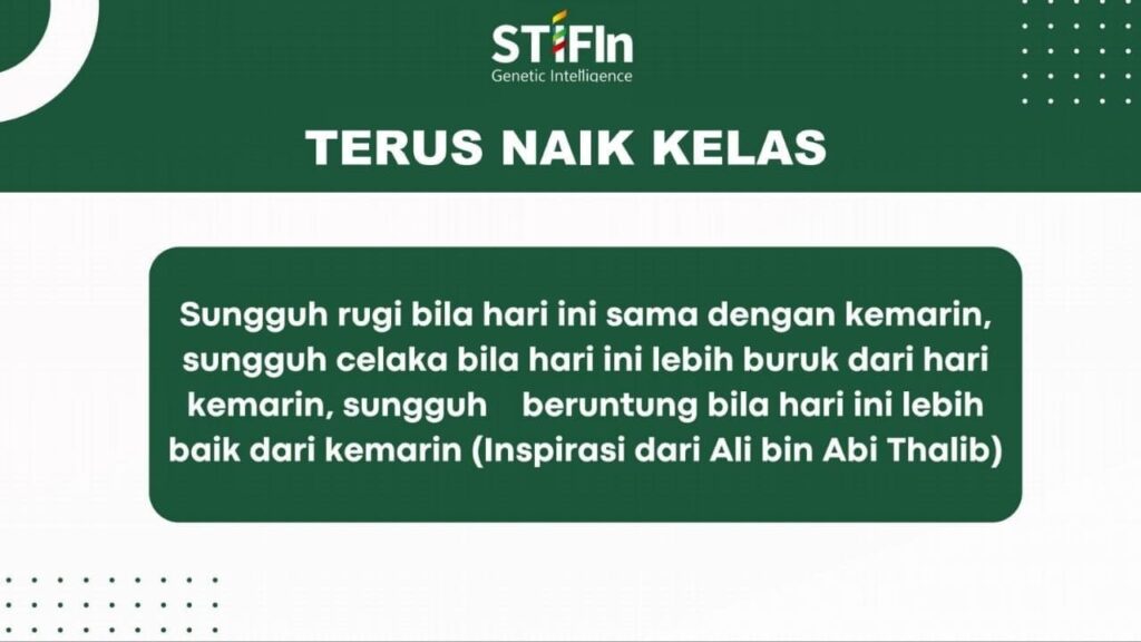 promotor stifin