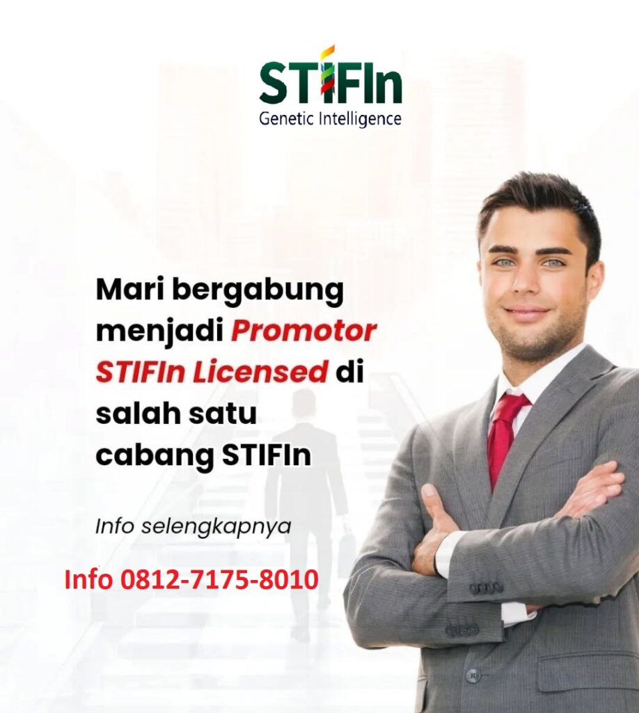 stifin