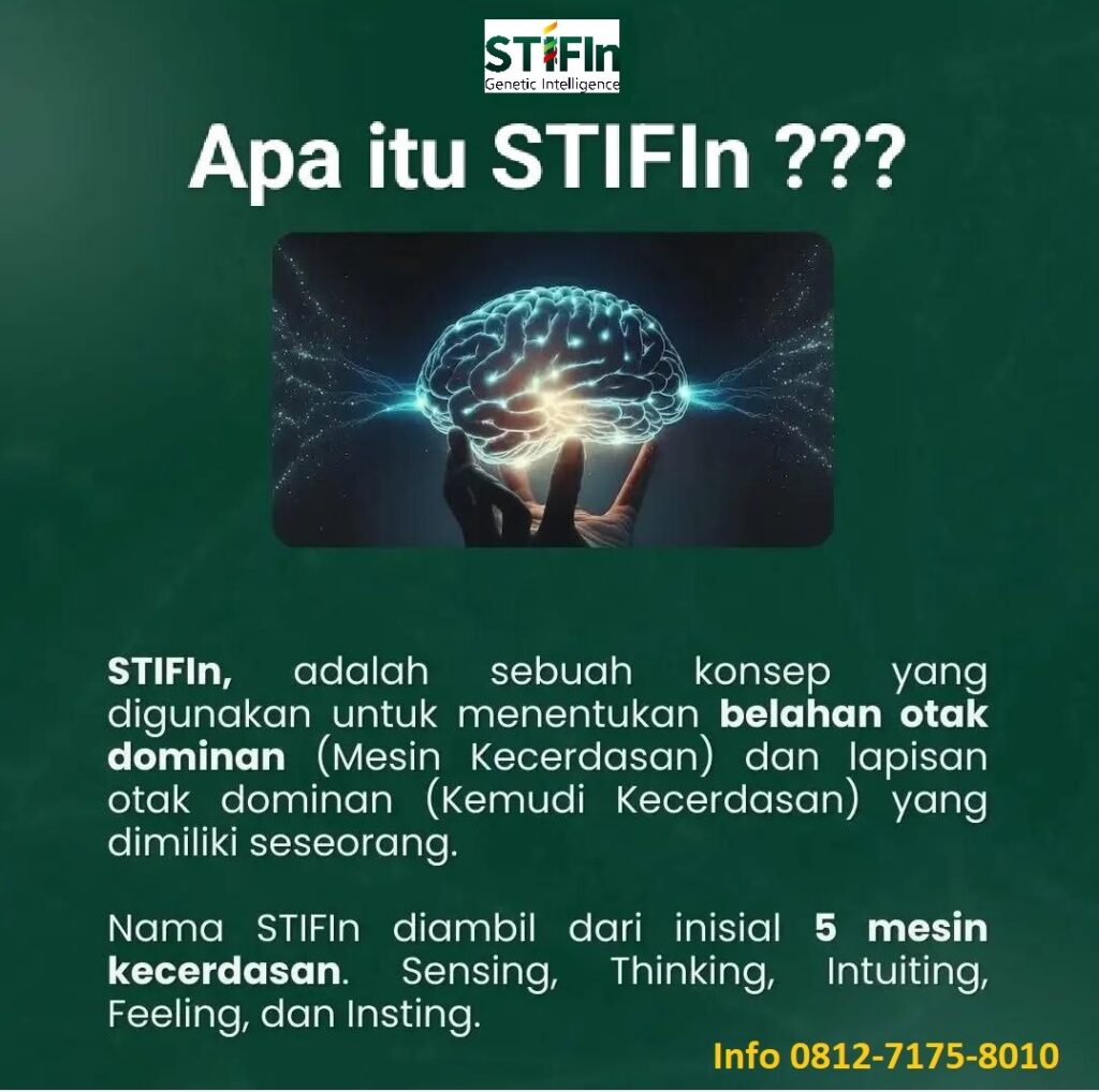 stifin